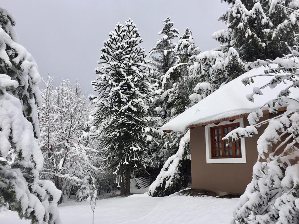 Altos Del Sur Cabanas De Montana El Bolsón Eksteriør billede